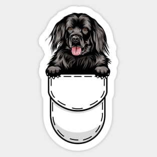 Newfoundland Pocket Dog Sticker